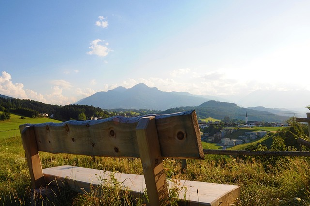 四川九牛对