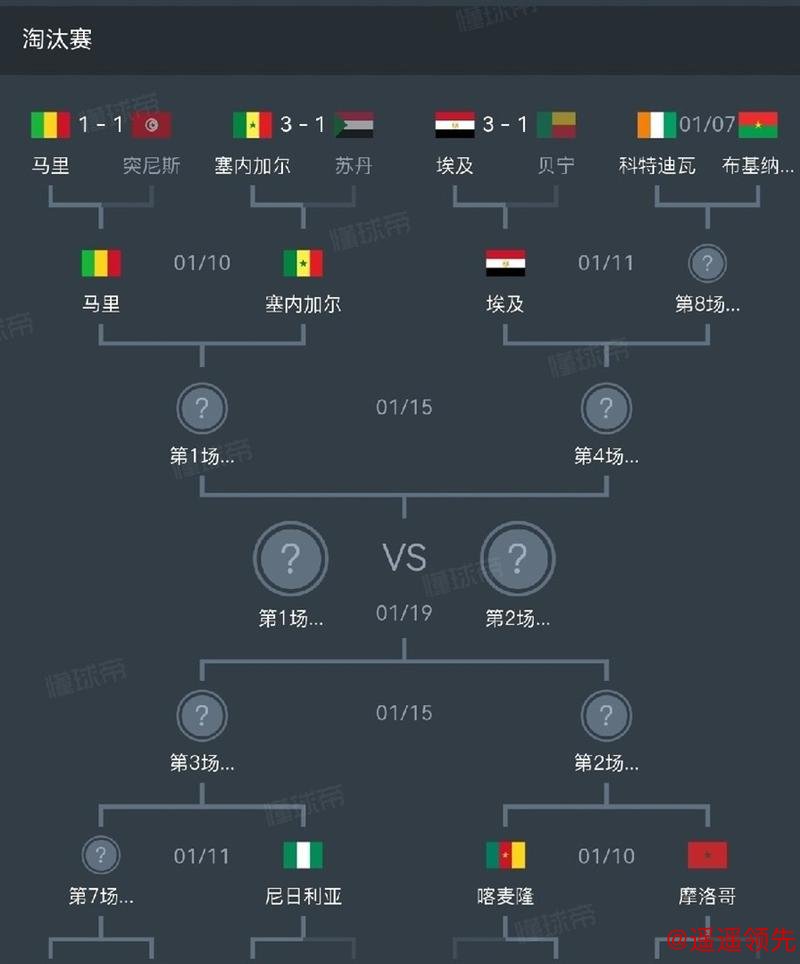 非洲杯：埃及、尼日利亚晋级八强